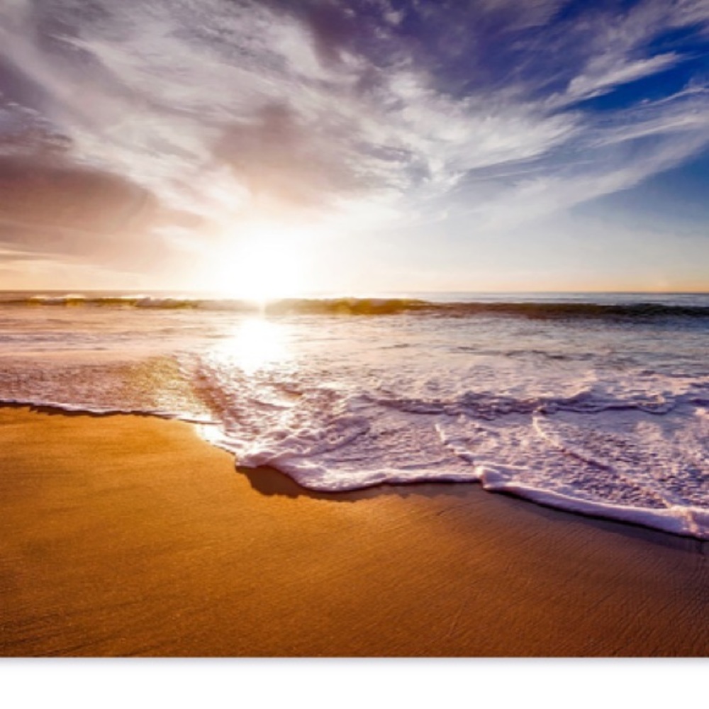 ✨✨✨✨✨✨✨